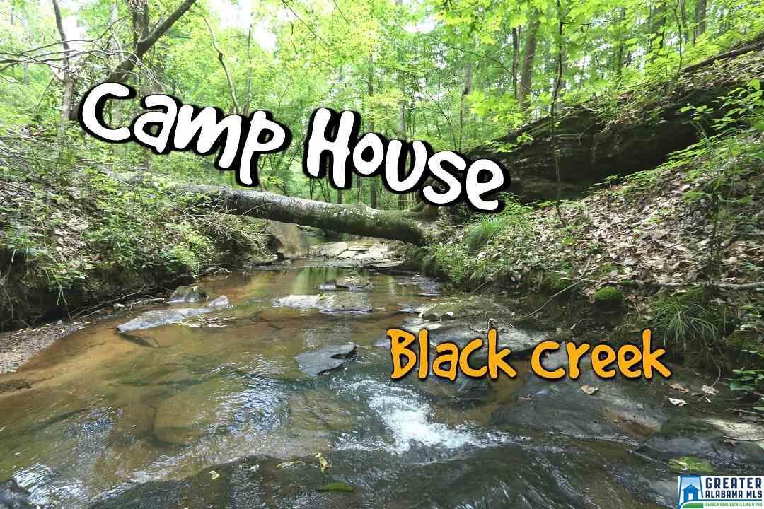 2375 Blackjack Rd - Photo 1