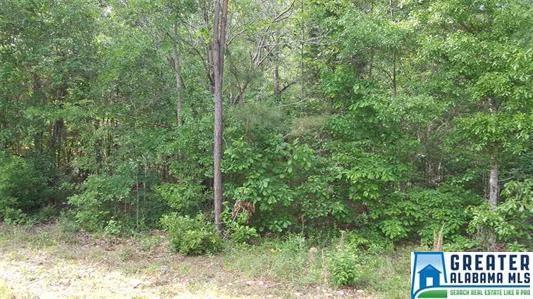 Riverview Cir - Photo 1
