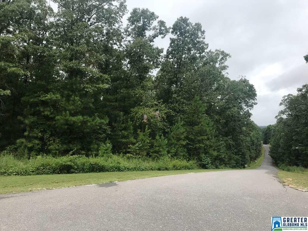 Ralph Boyd Dr - Photo 1