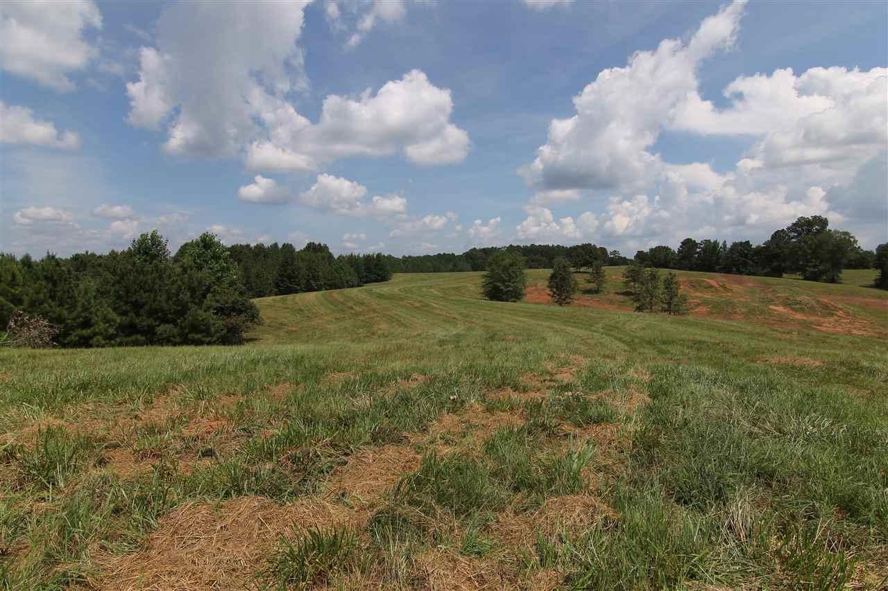 1460 Co Rd 79 - Photo 1