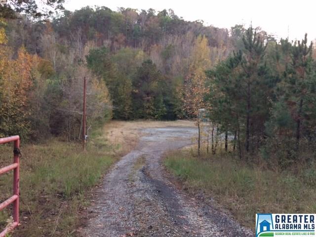8648 Groundhog Rd - Photo 1