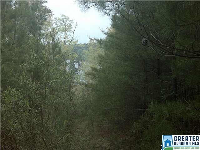 5 Co Rd 919 - Photo 1