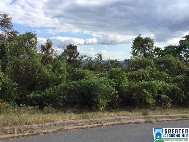 Gray Hawk Ln - Photo 1
