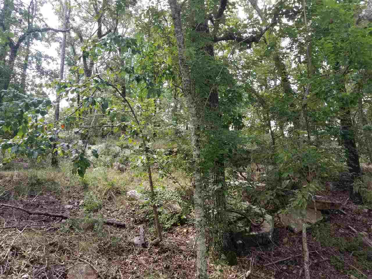 308 Kings Crest Ln - Photo 1