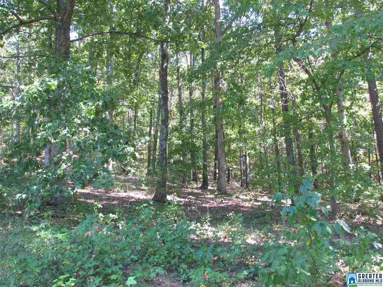4310 Co Rd 56 - Photo 1