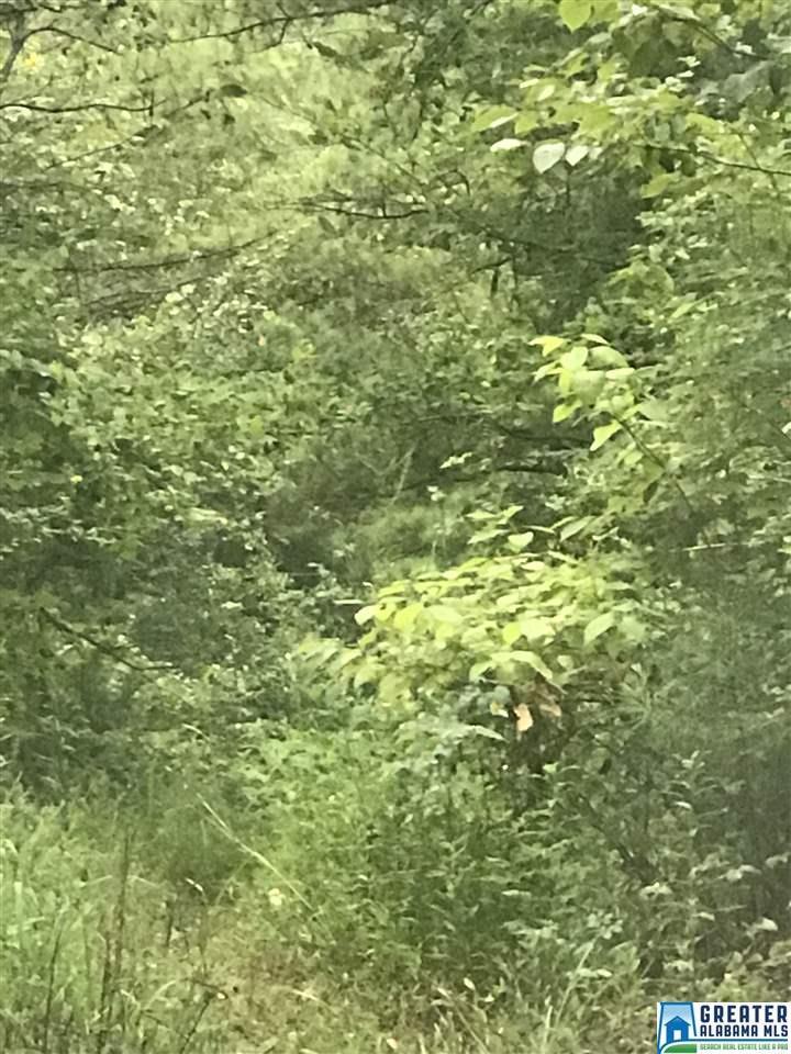 Polaris Cir - Photo 1