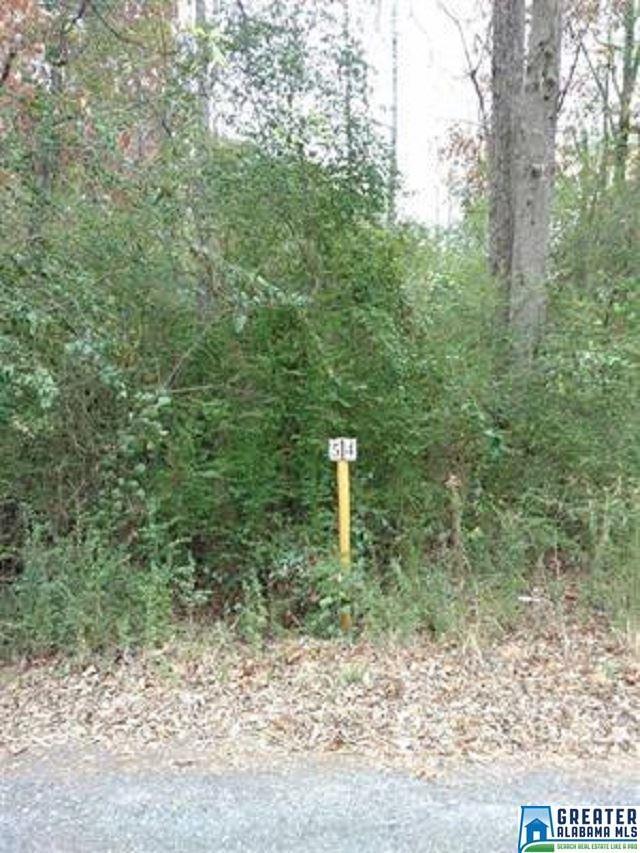 1424 Steve Crowder Rd - Photo 1 1424 Steve Crowder Rd - Photo 1