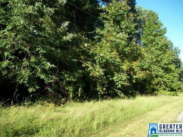 409 Eagles Roost Rd - Photo 1