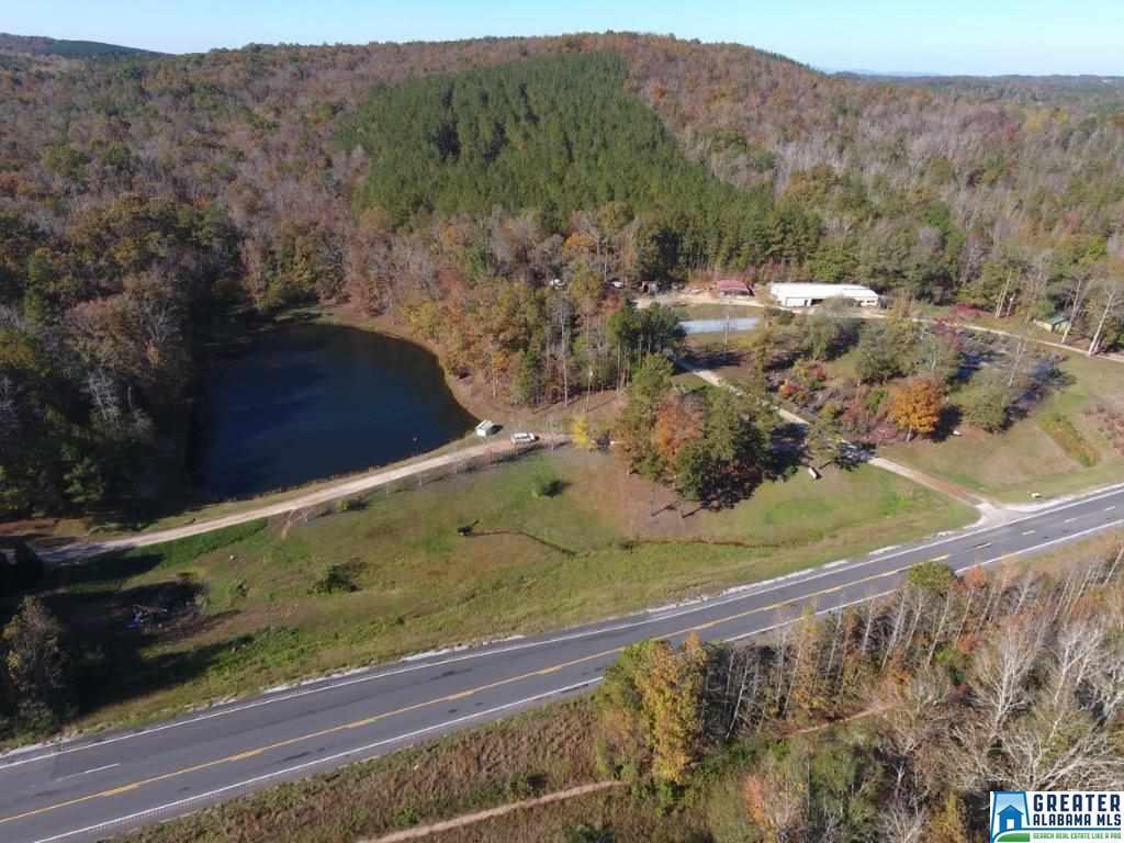 24057 Hwy 431 - Photo 1