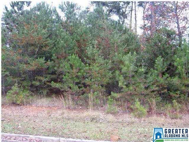 5702 Kacie Cir - Photo 1