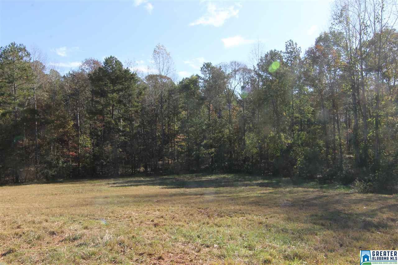 5700 Old Hwy 431 - Photo 1