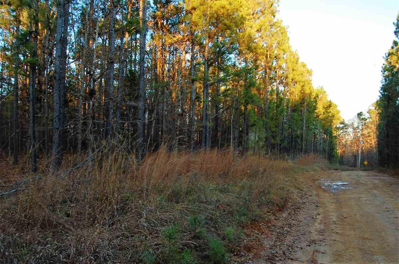 0 Co Rd 197 - Photo 1