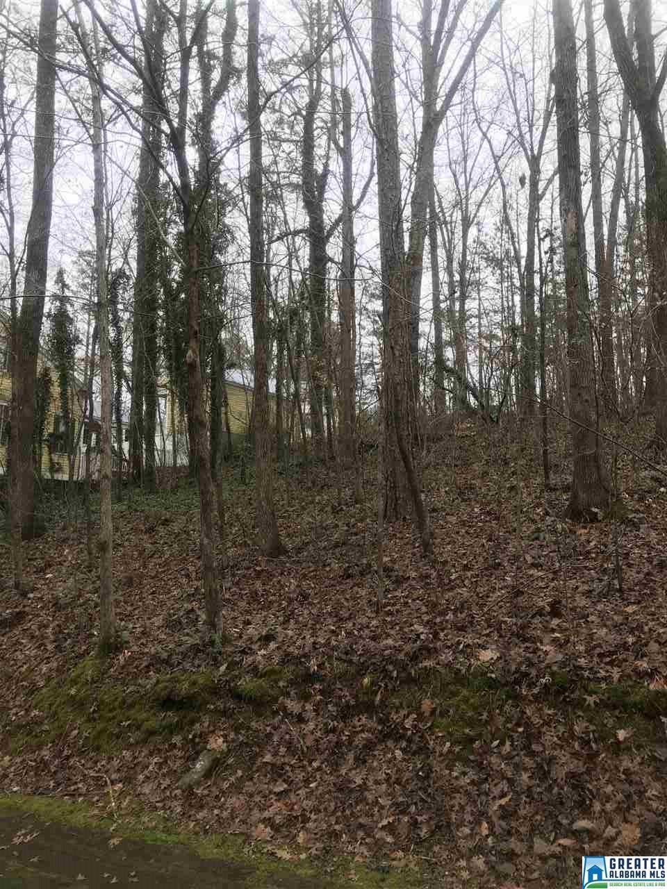 105 Hollow Rd - Photo 1