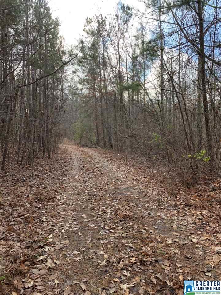 Creek Rd - Photo 1 Creek Rd - Photo 1