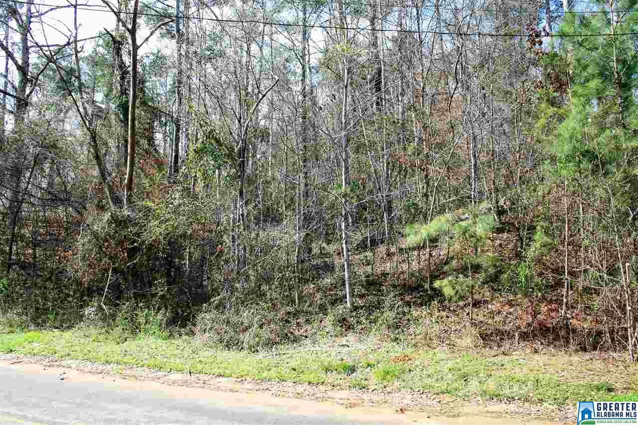3179 Paradise Acres - Photo 1