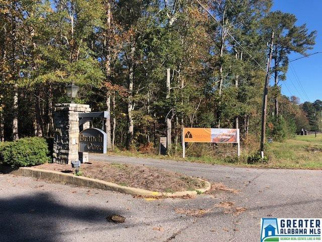0 Branch Cove - Photo 1