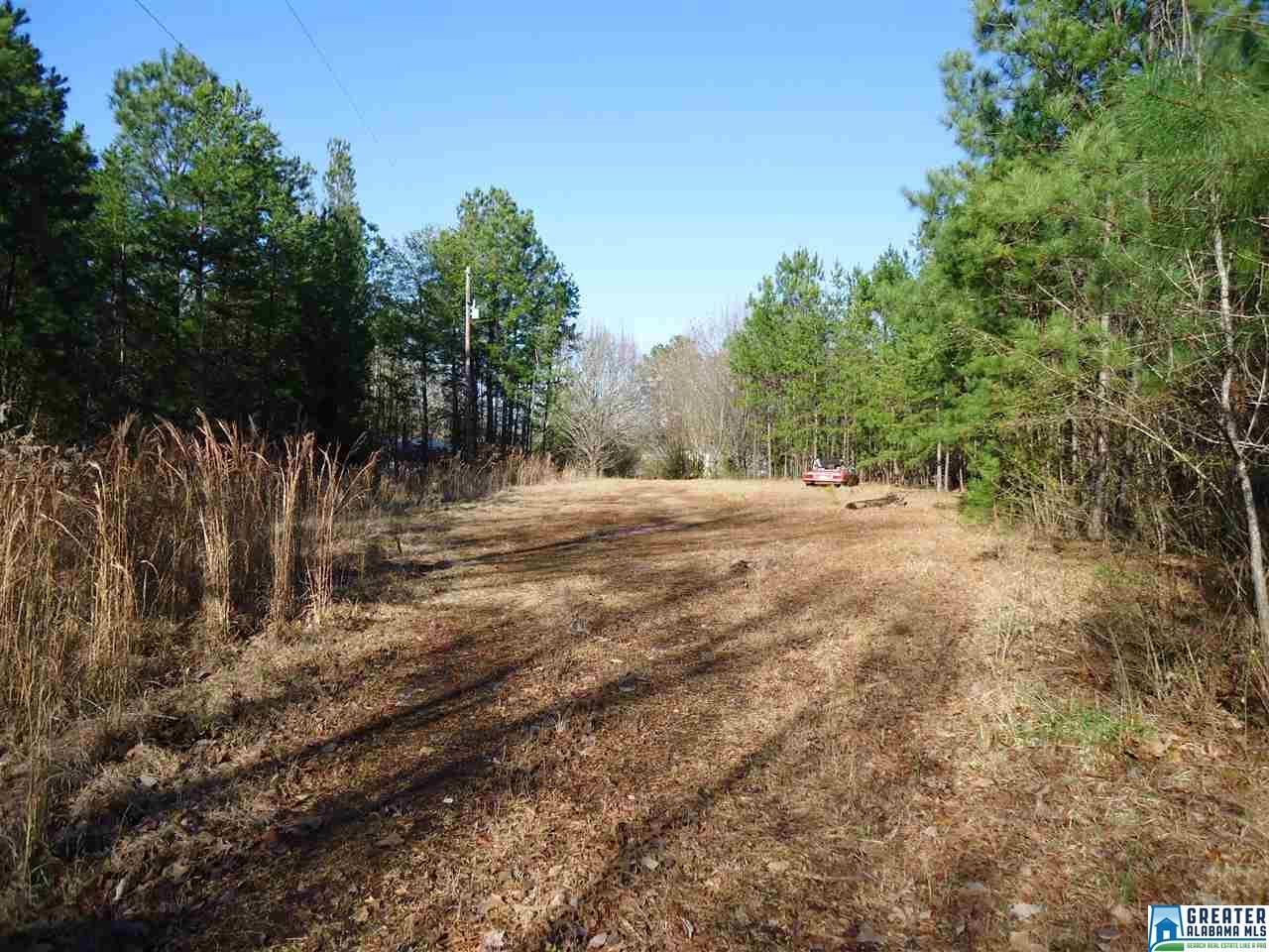 4401 Hicks Rd - Photo 1
