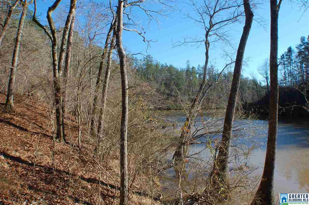 4696 Co Rd 264 - Photo 1