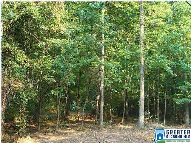 3500 Wilburn Lake Rd - Photo 1