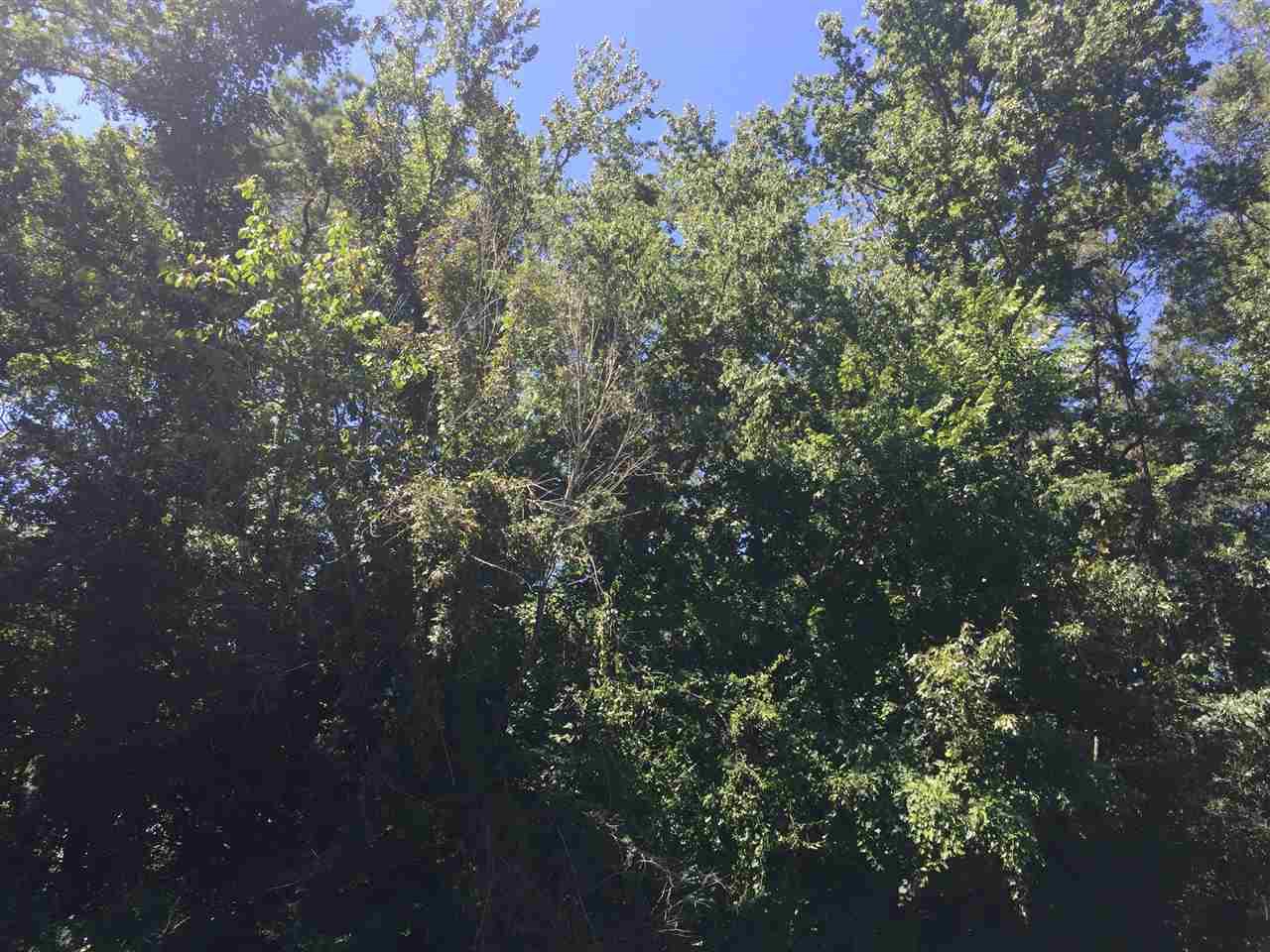 2721 Darlene Cir - Photo 1