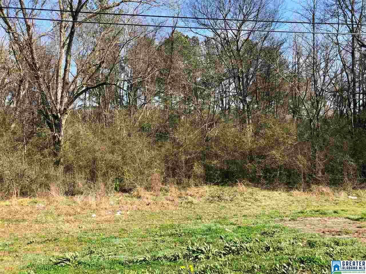 0 Mundy Dr - Photo 1
