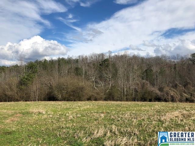 Co Rd 206 - Photo 1