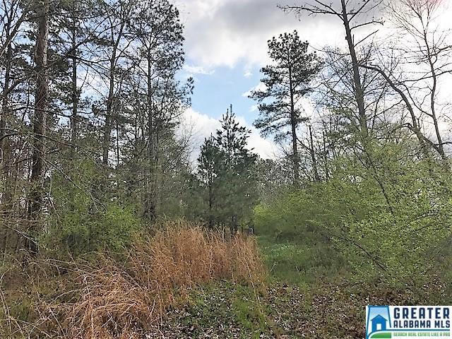 2175 Hwy 86 - Photo 1 2175 Hwy 86 - Photo 1