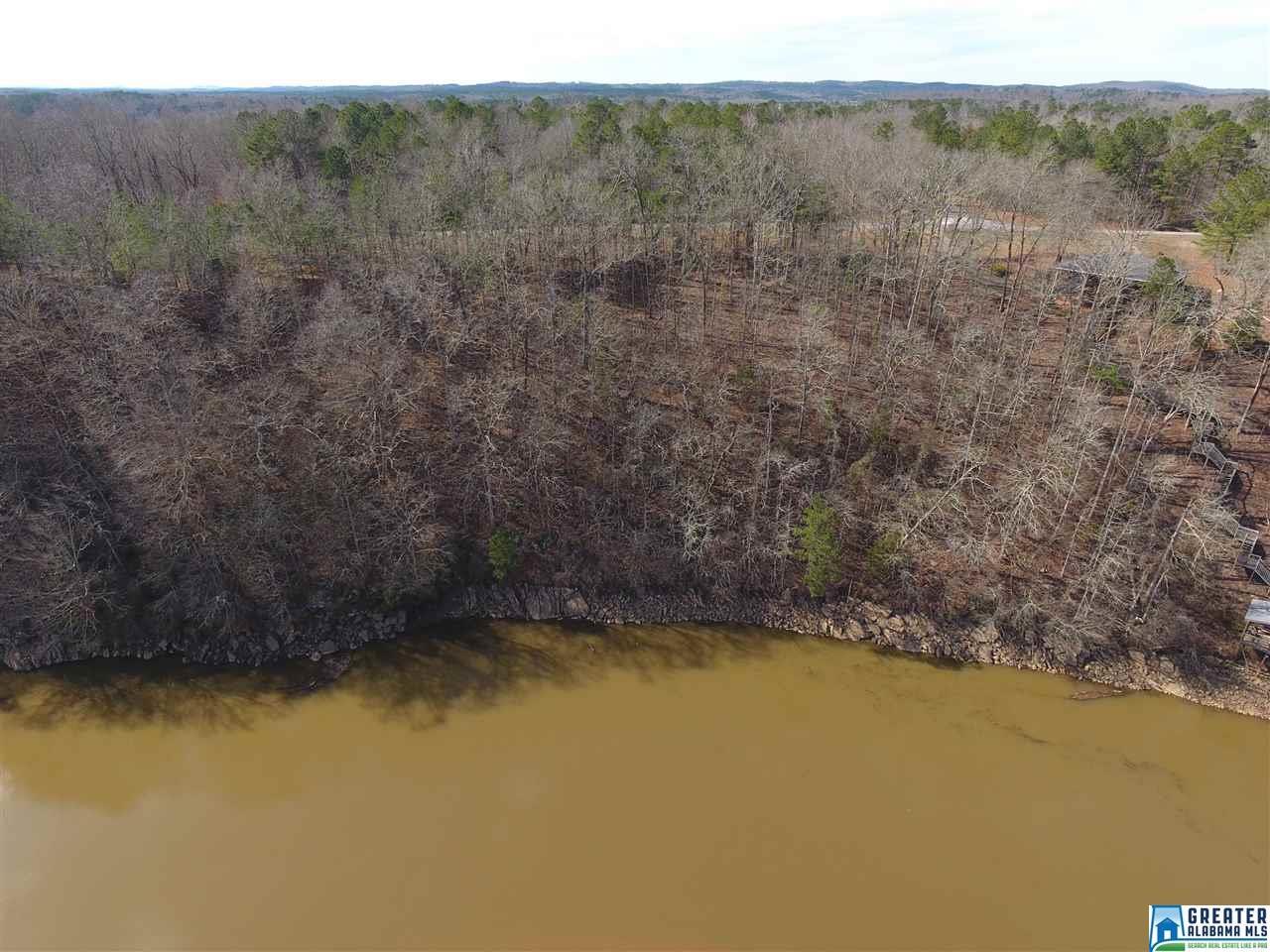 Wright Way Dr - Photo 1