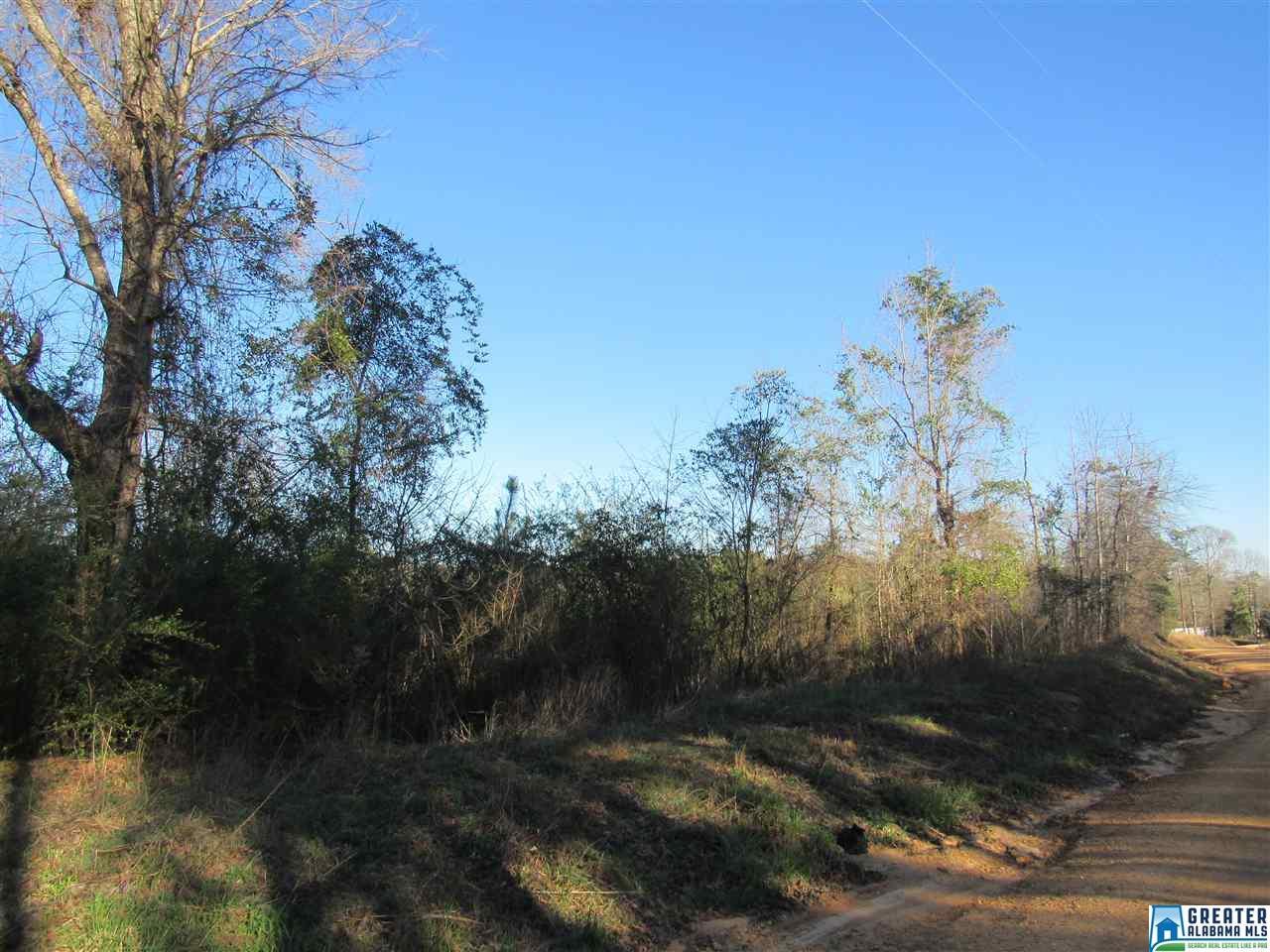 0 Co Rd 220 - Photo 1