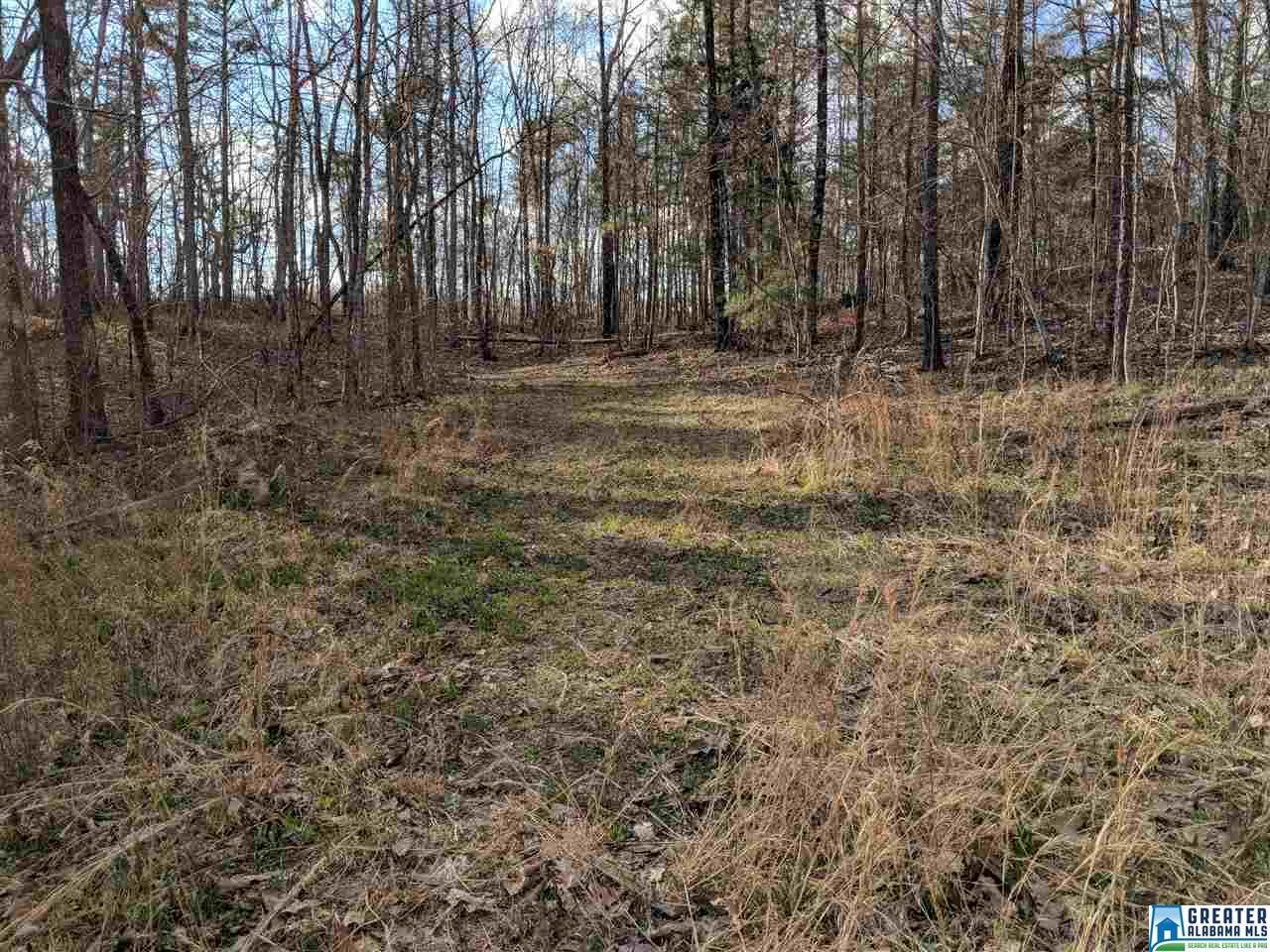 8730 Pine Mountain Rd - Photo 1