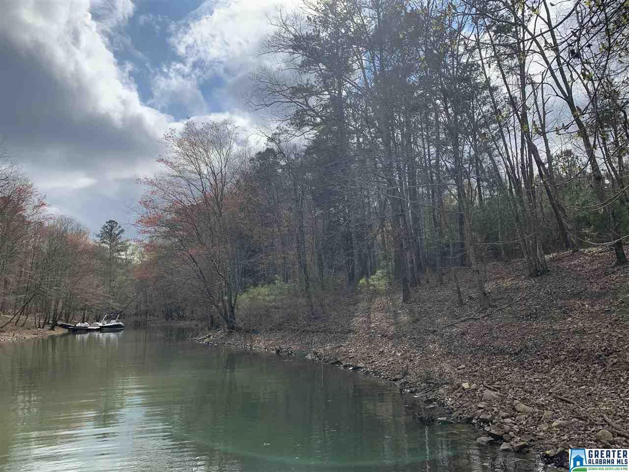 0 Stoney Point Landing - Photo 1
