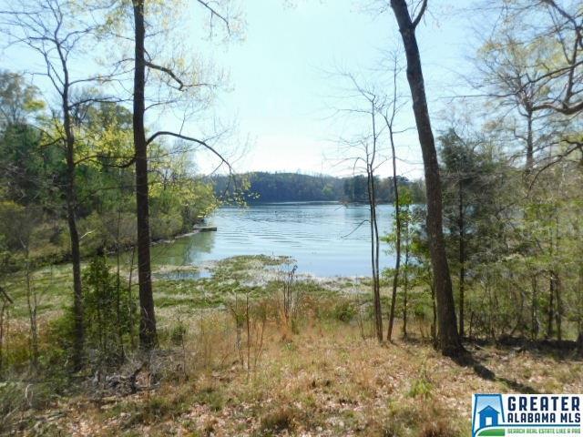Water Ln - Photo 1