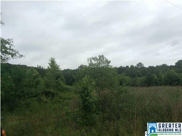 1 Slasham Rd - Photo 1