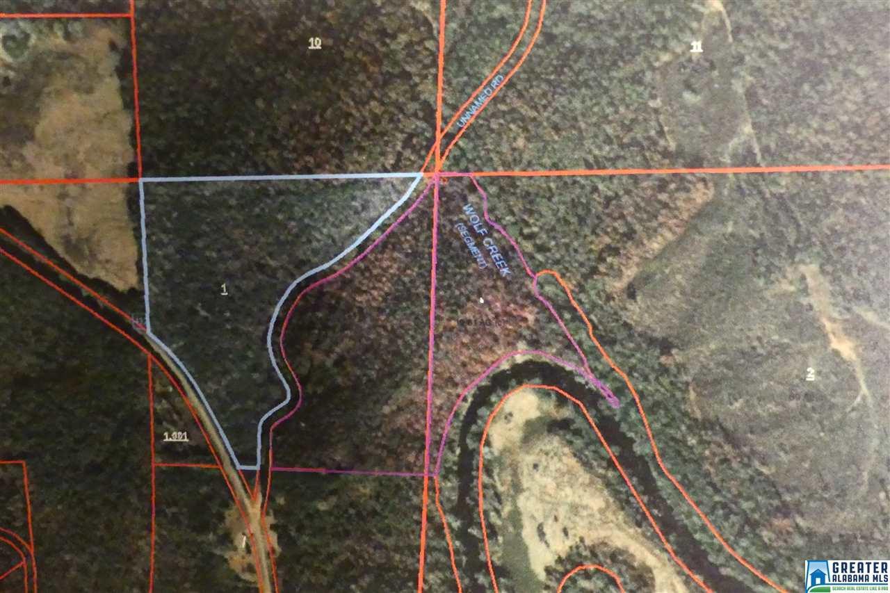 Tract 5 Co Rd 532 - Photo 1