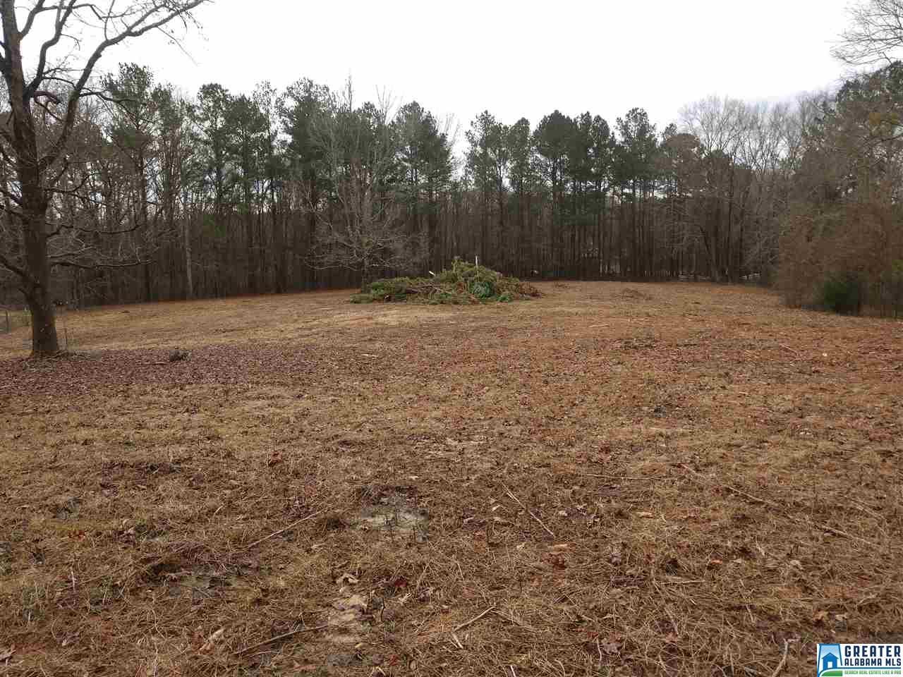 1151 Sunset Dr - Photo 1