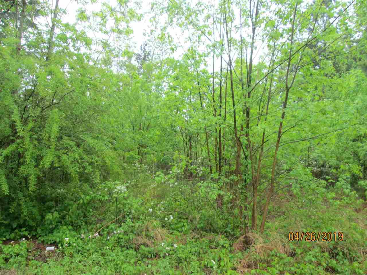 190 Prophecy Ln - Photo 1