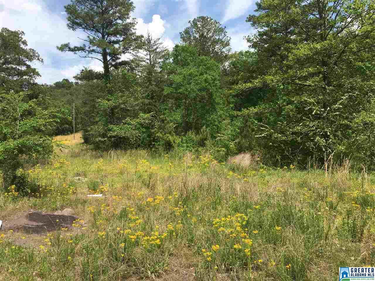 348 Seale Rd - Photo 1