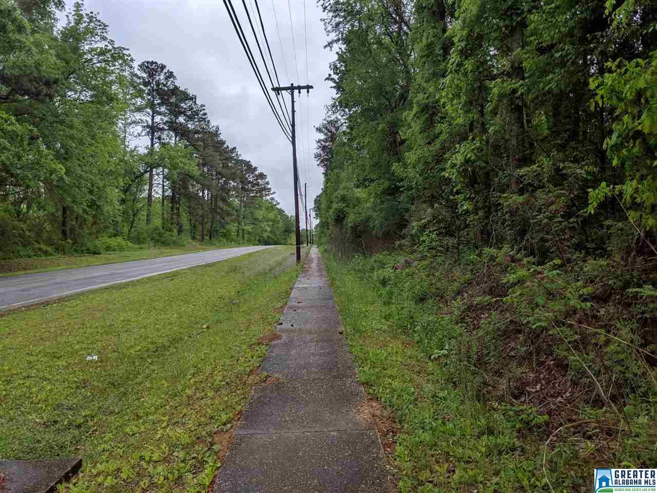 Stephen J White Memorial Blvd - Photo 1
