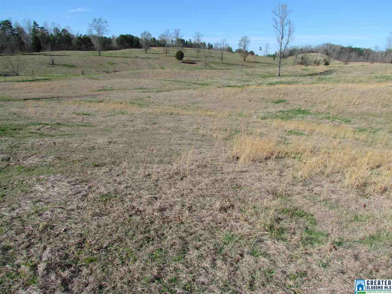 0 Sanie Rd - Photo 1