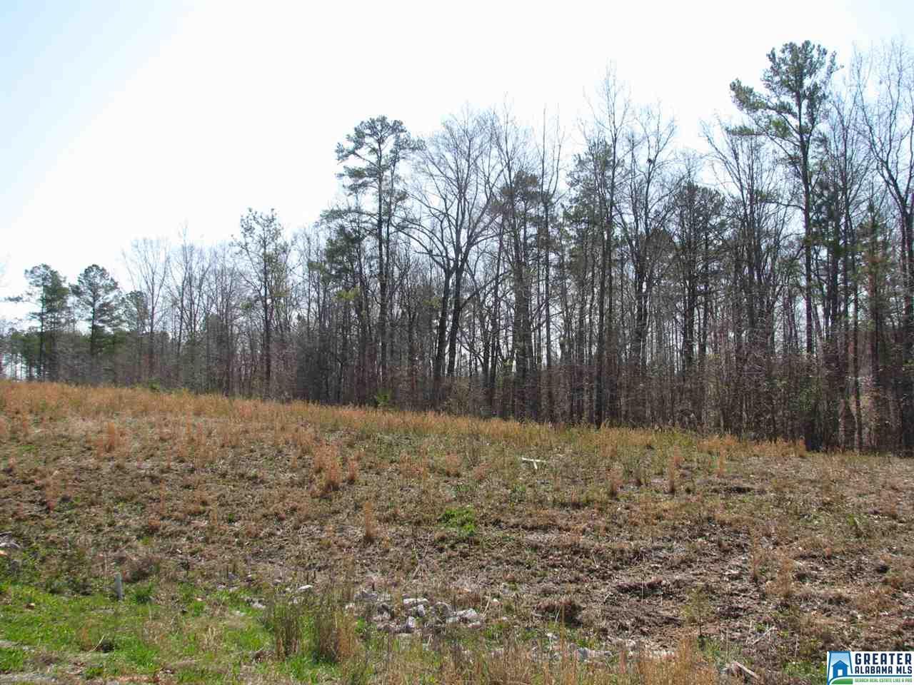 275 Crooked Creek Ln - Photo 1