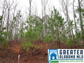 7996 Forest Loop - Photo 1