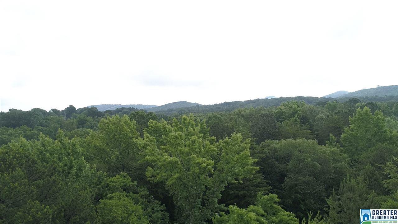 5209 Dewey Heights Rd - Photo 1