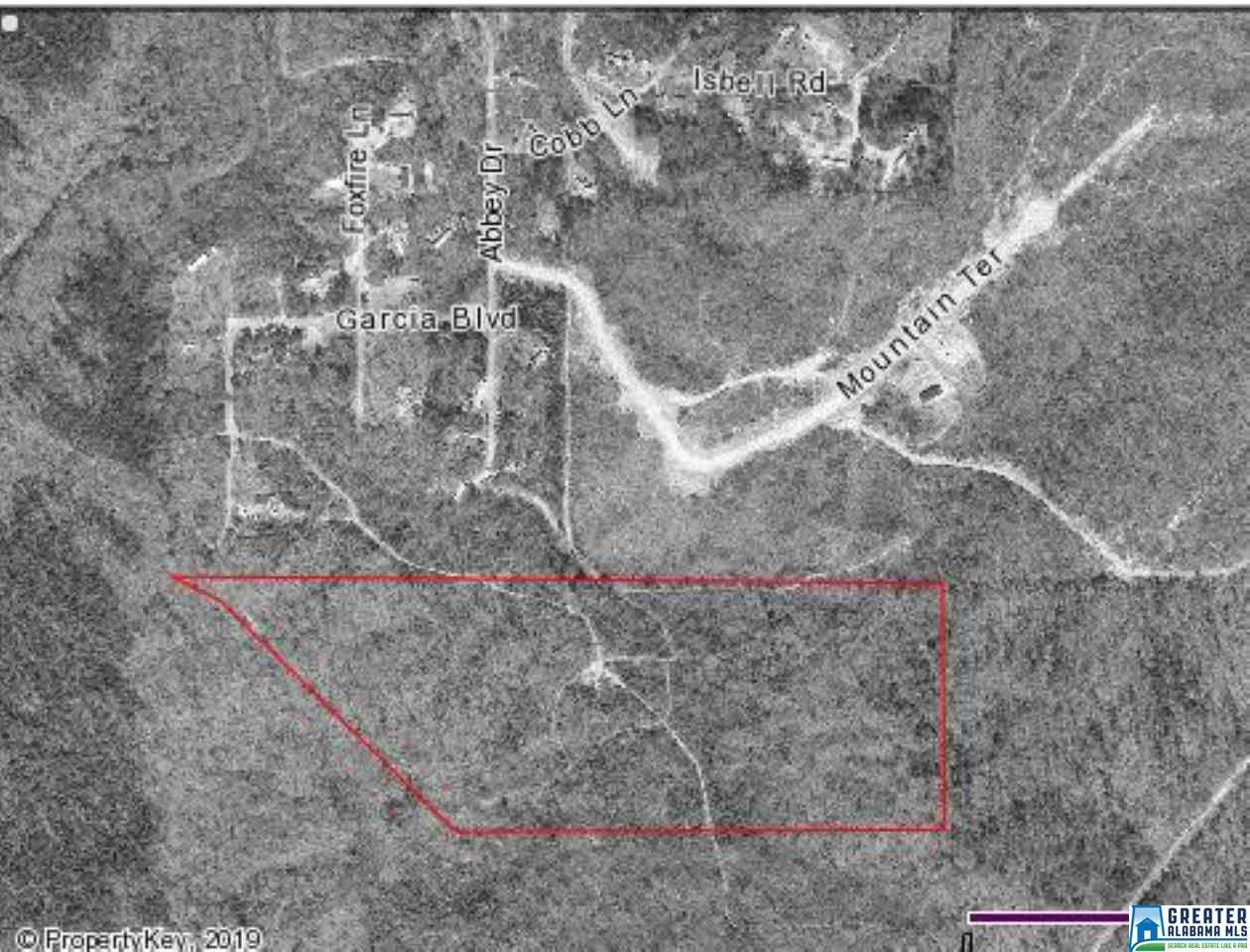 0 Foxfire Ln - Photo 1
