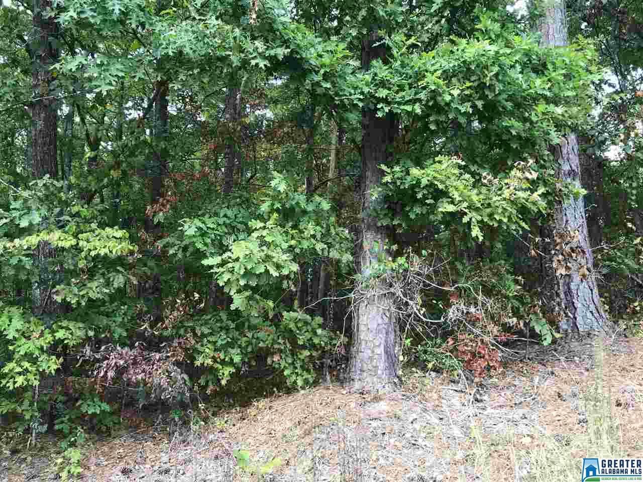 O Rear Ln - Photo 1 O Rear Ln - Photo 1