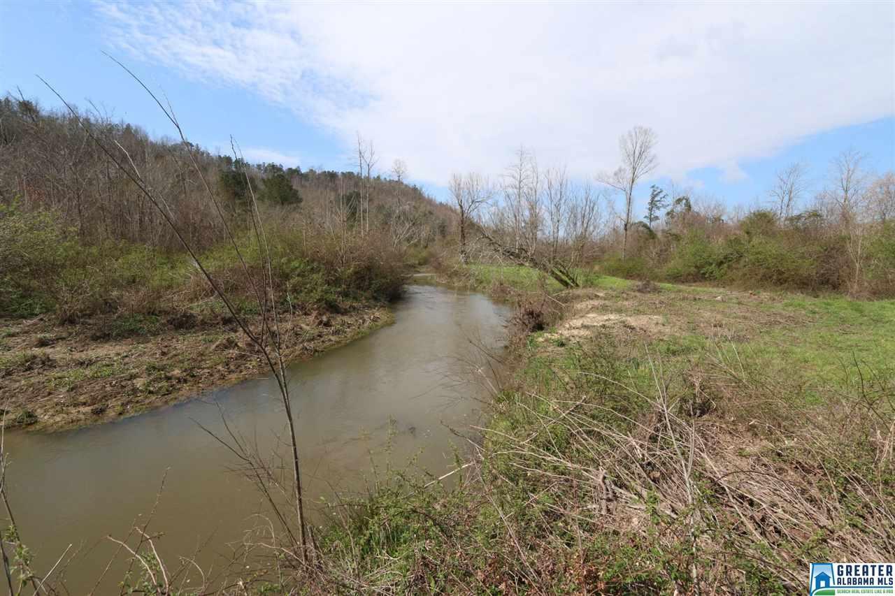 Shoal Creek Rd - Photo 1