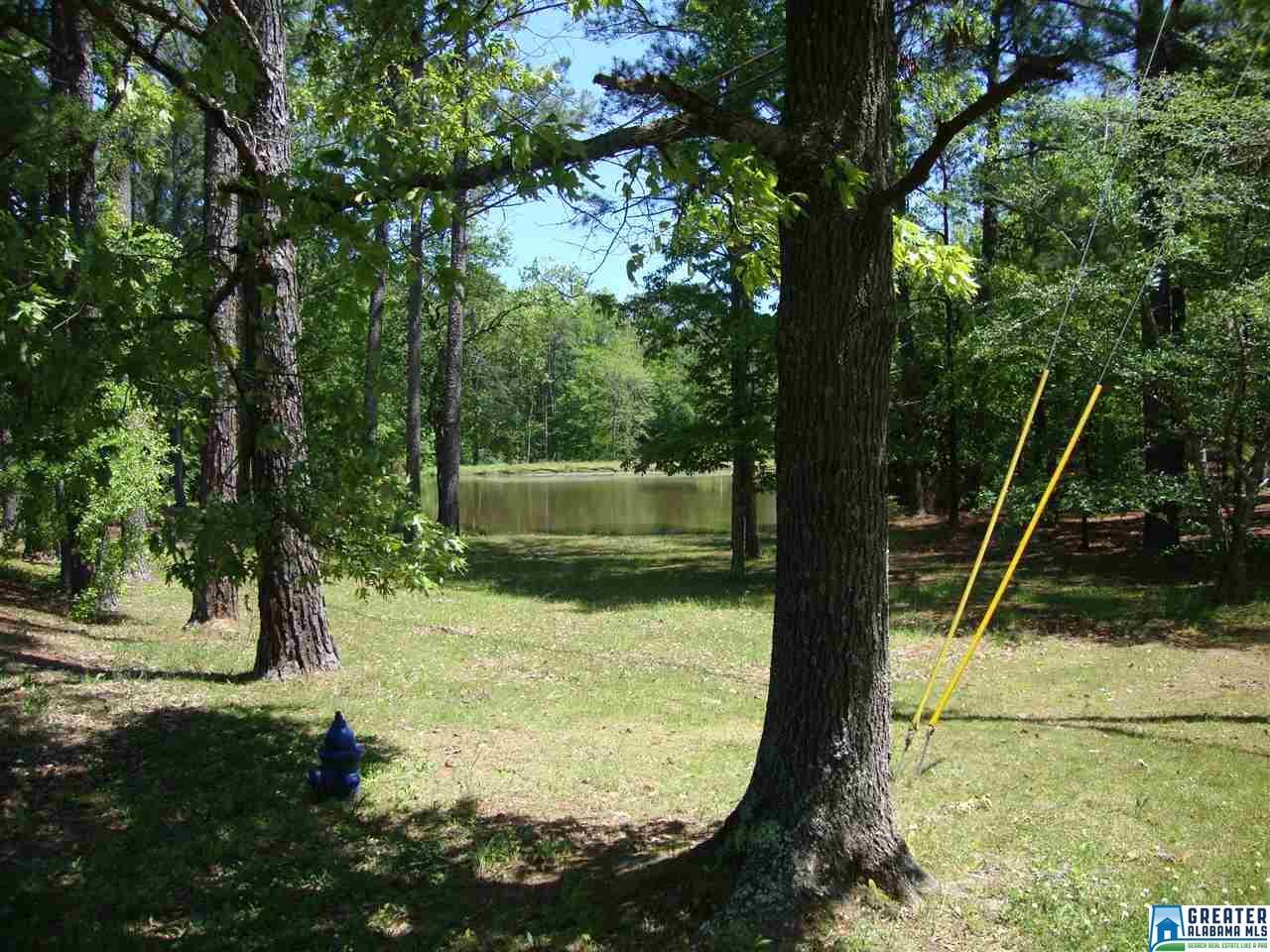 6150 Chelsea Rd - Photo 1
