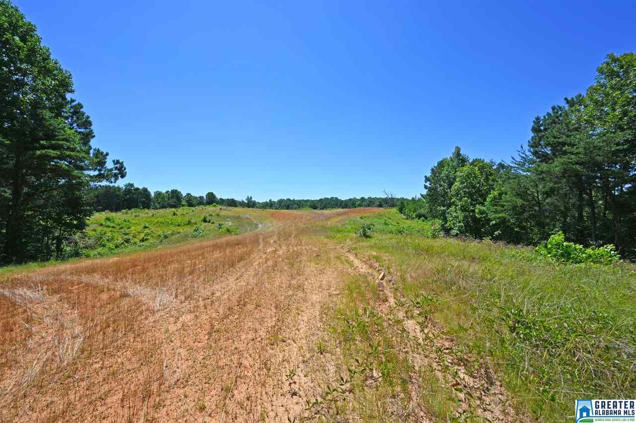 7468 Old Mount Olive Rd - Photo 1