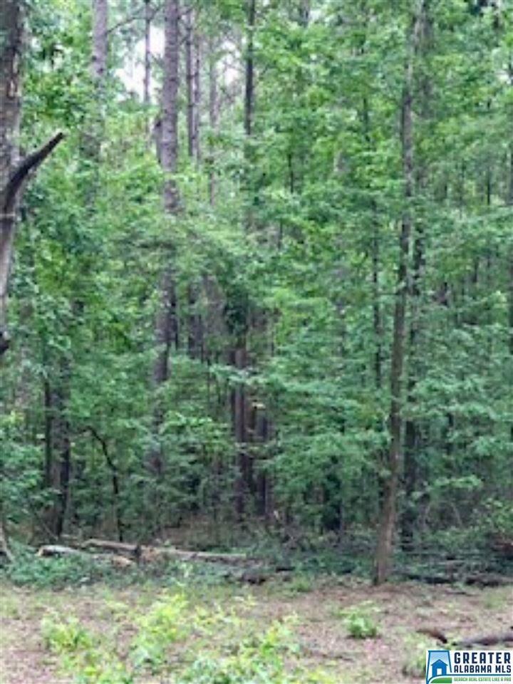 0 Hwy 174 - Photo 1