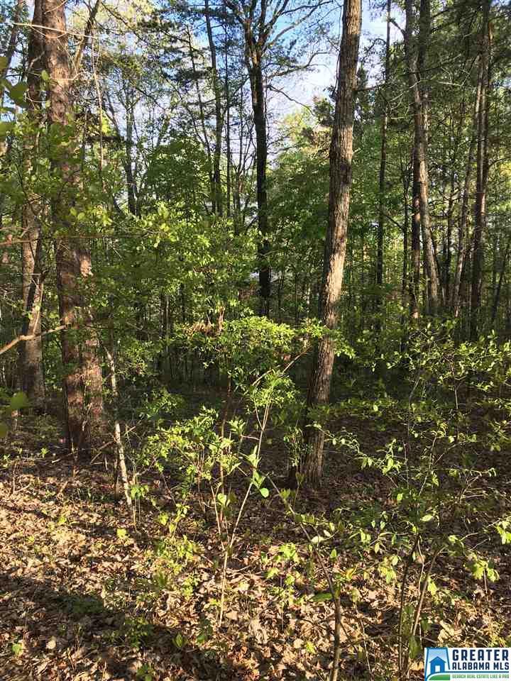 7559 Old Bradford Rd - Photo 1