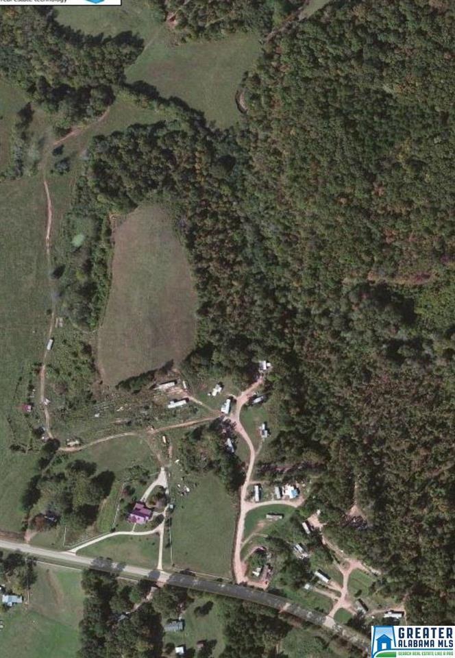 9802 Old Hwy 431 - Photo 1